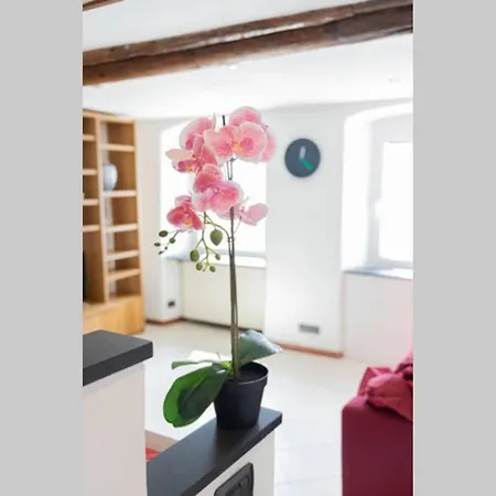 Cinque Maggio Di Fronte A E Ospedale Appartement *